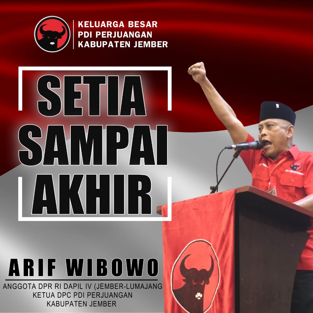 banner 325x300